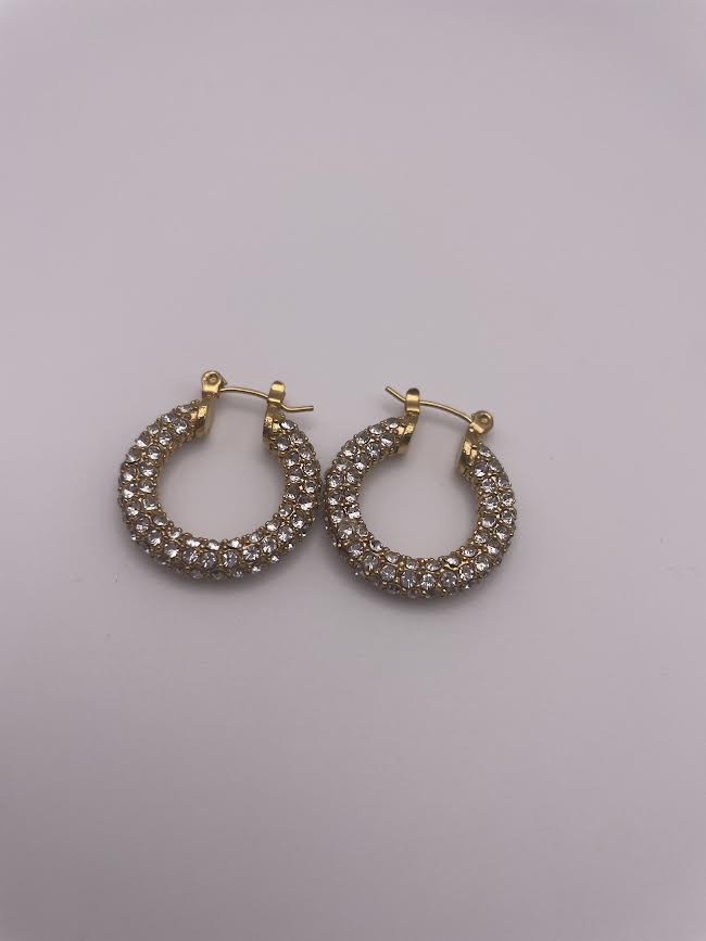 Macrae Crystal Hoop Earrings-4658
