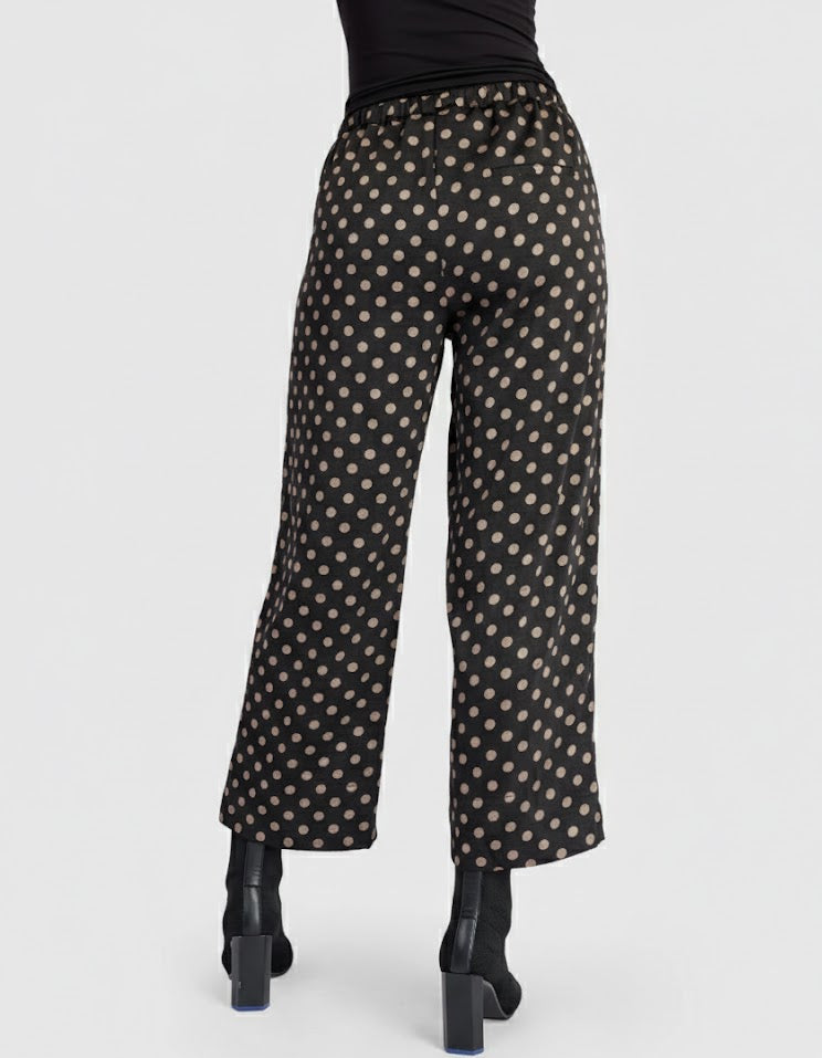 Alembika Eclat Straight Pants, Black/Bronze Dots-EP707B