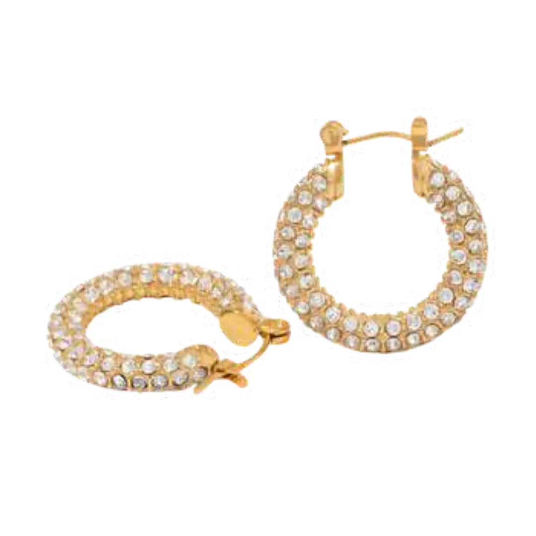 Macrae Crystal Hoop Earrings
